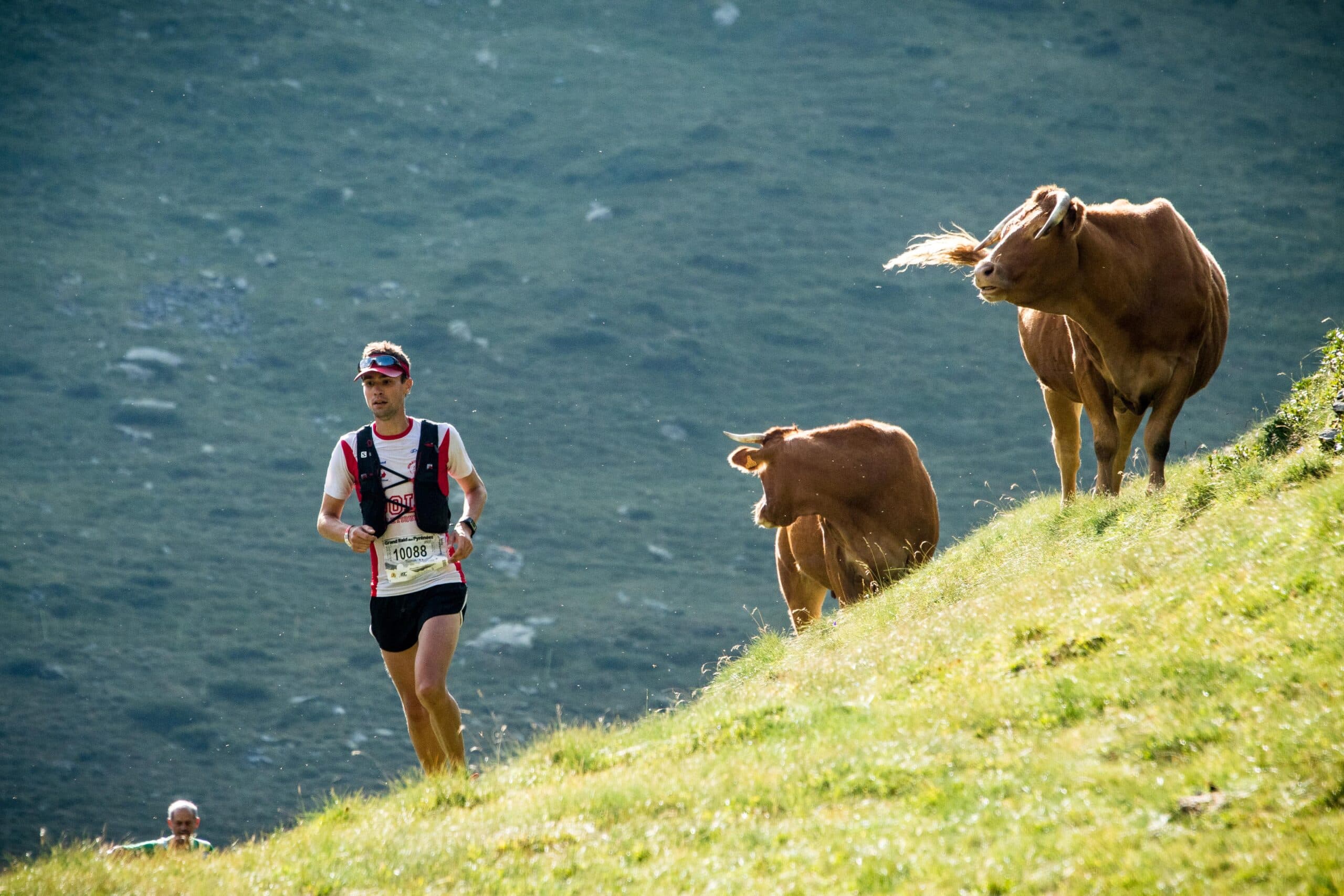 Le Grand Raid des Pyrénées