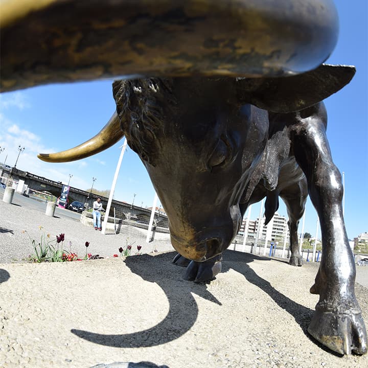 Visite guidée : Corrida