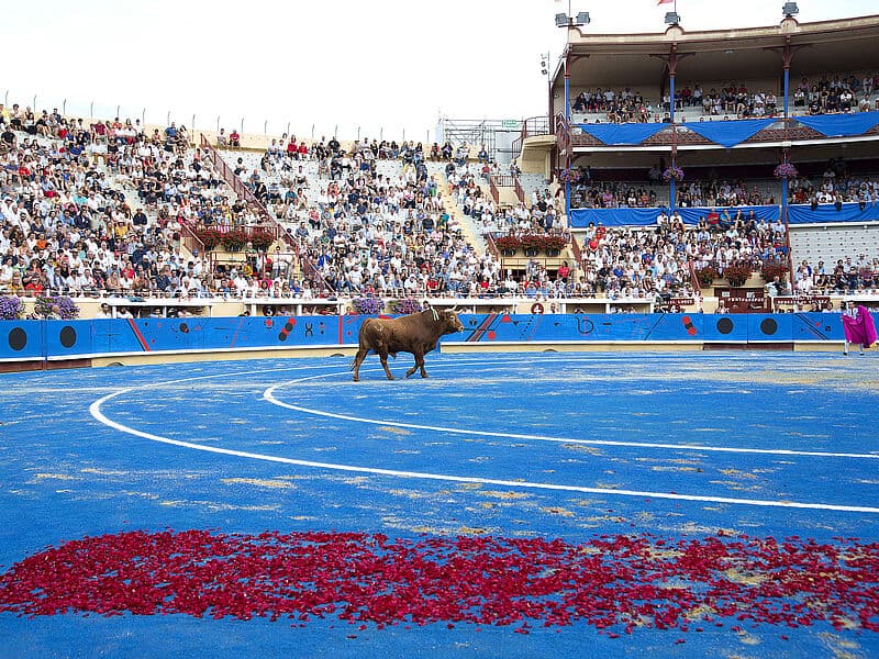 Corrida à cheval