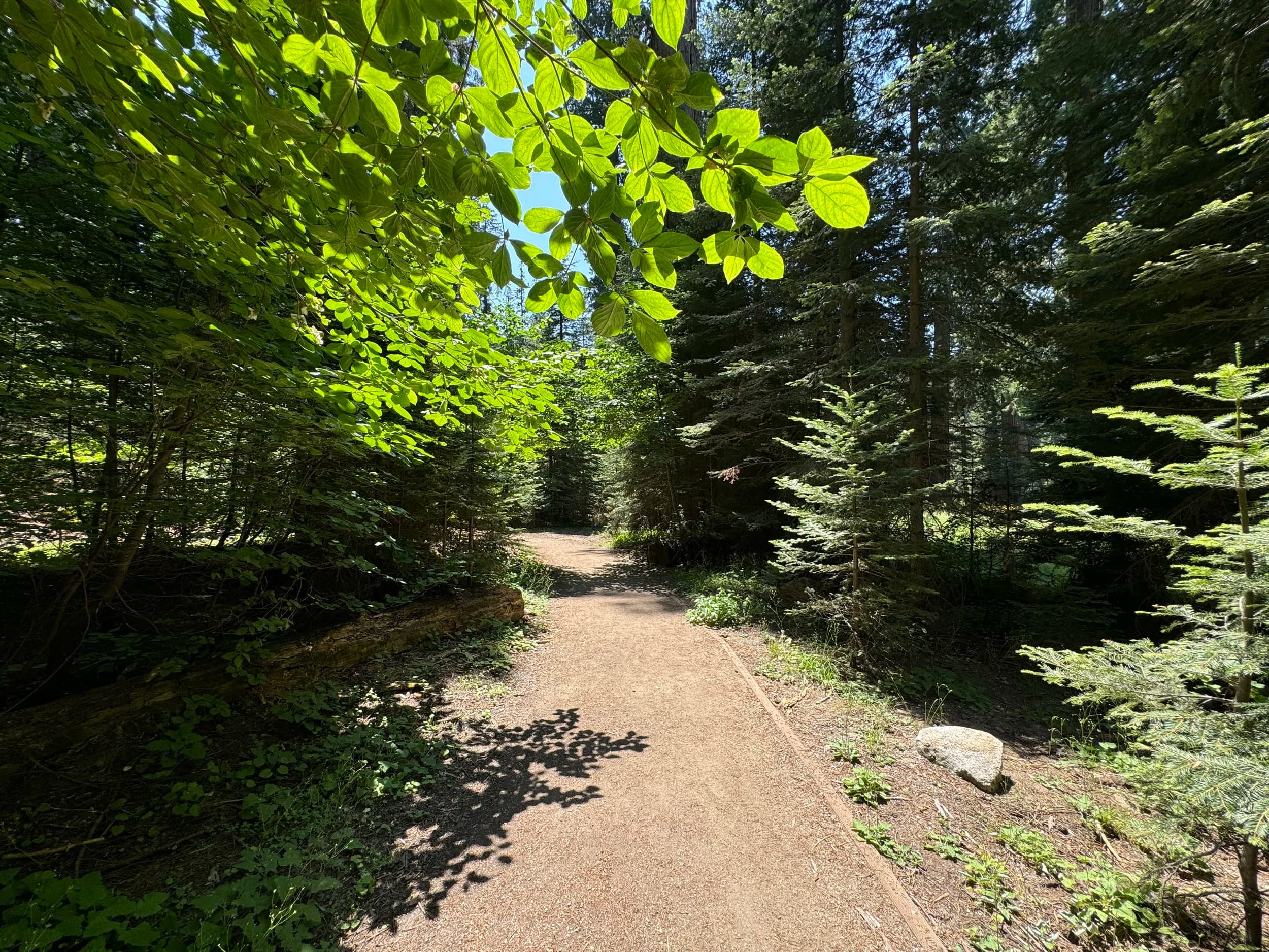 Trail Auzette Nature