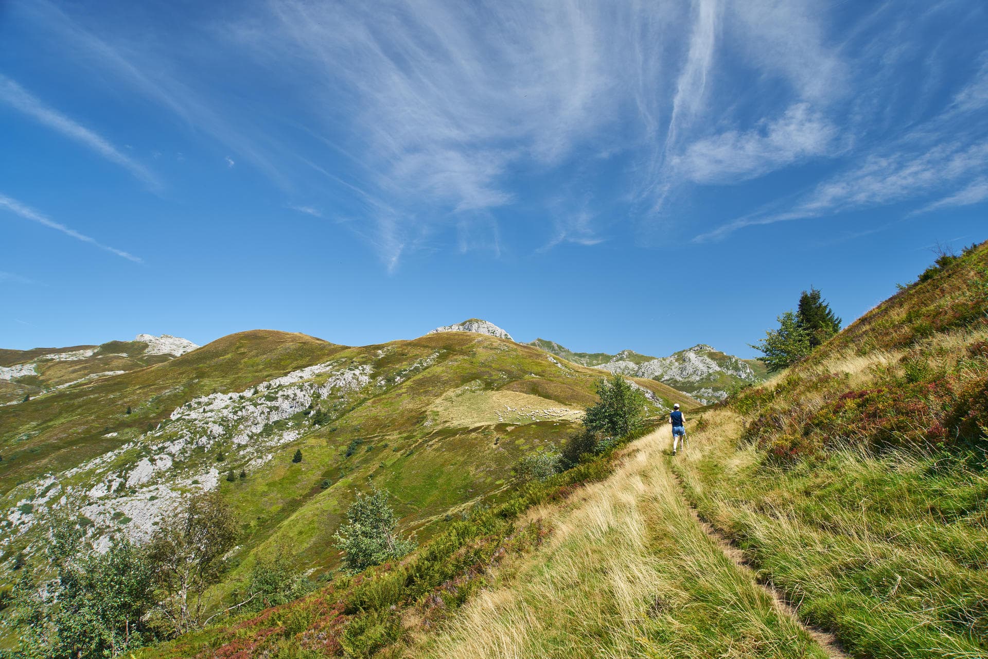 Trail du Montagnon