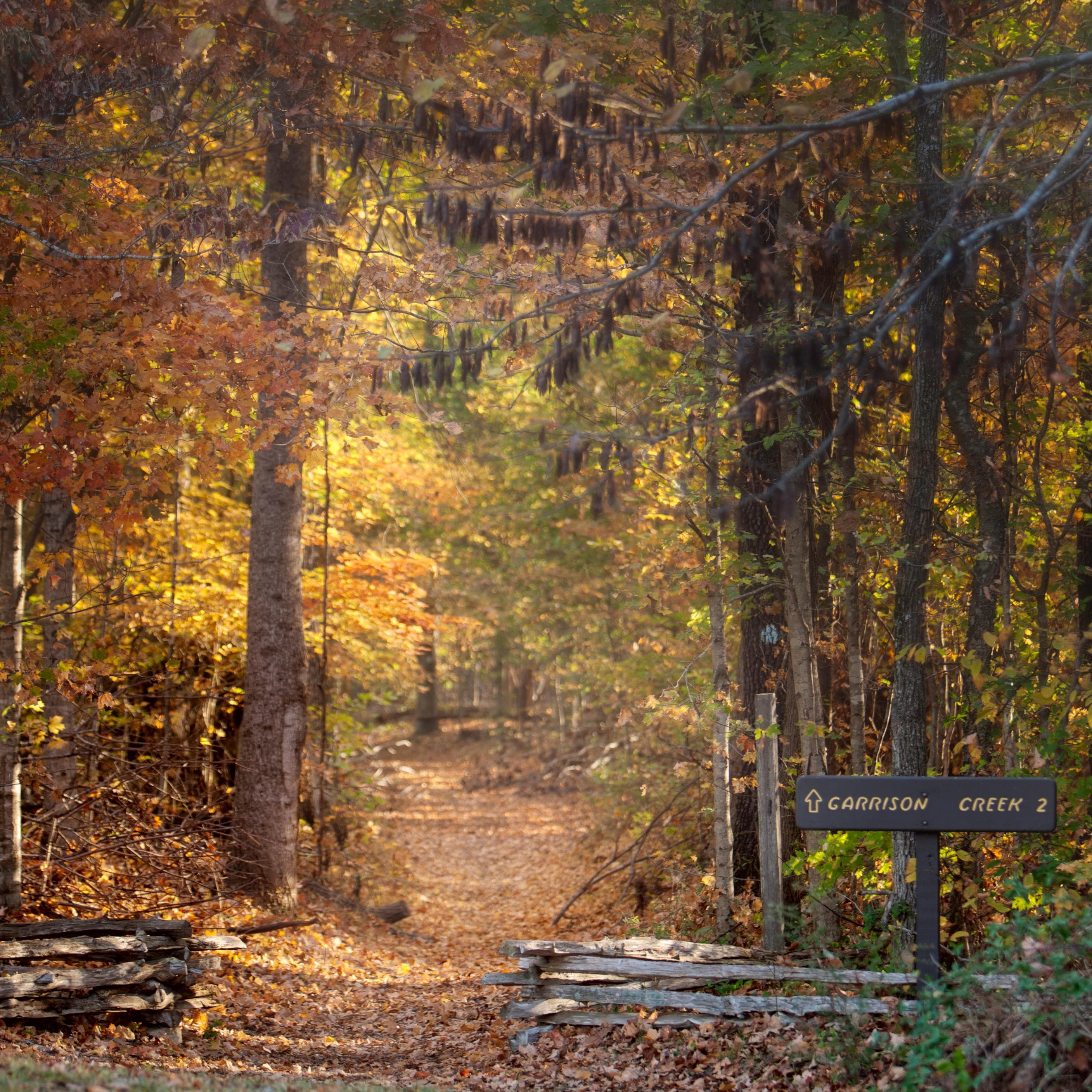 Trail "Aux couleurs d'automne"