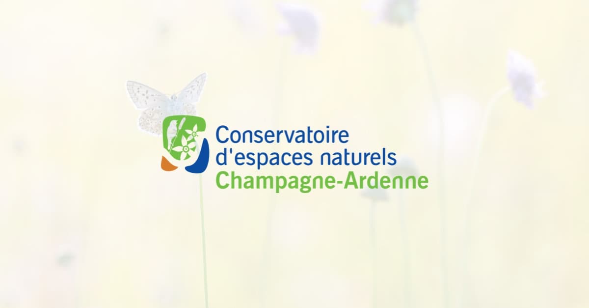 L'été aux Tourbières