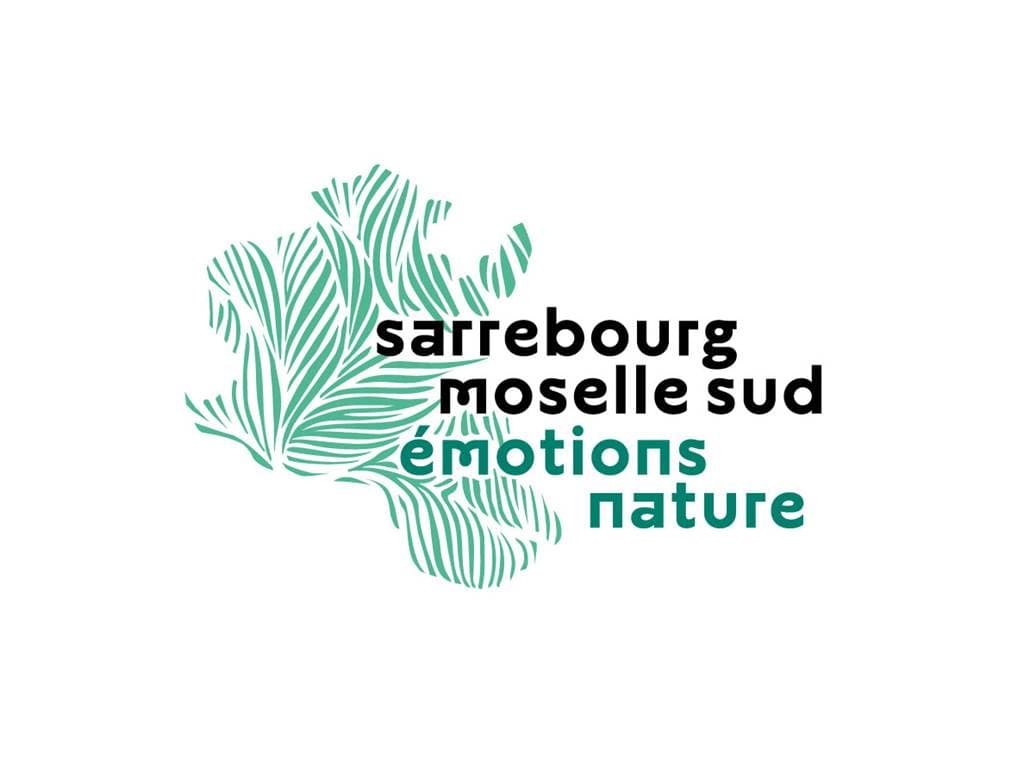 Sortie nature - Balade immersive en forêt sur les pas d'Emile