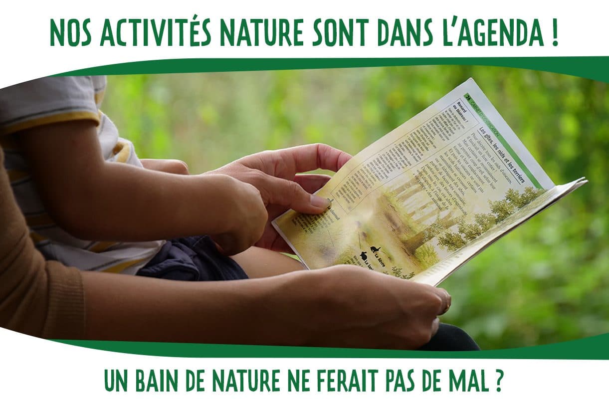 Balade nature autour de Sternenberg - À partir de 8 ans